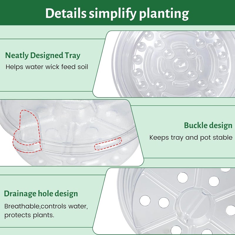 Bluepro 12 Pack 6.5 Inch Clear Self Watering Plant Pots with Bottom Water Tray & Watering Rope, Transparent Nursery Pots with Drainage for Seedlings, Herbs, and Houseplants - Image 5